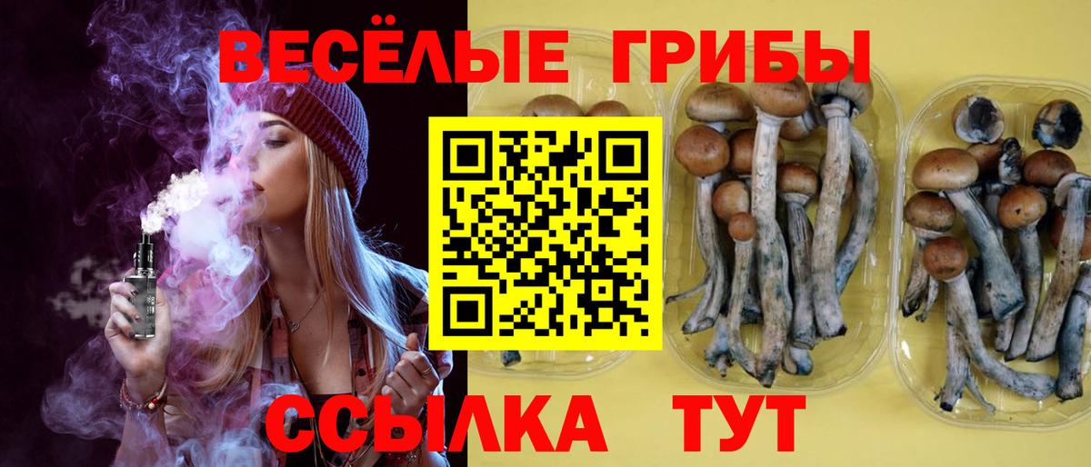 Галлюциногенные грибы Magic Shrooms Коркино